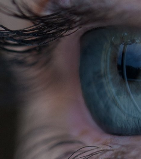 vignette programme oeil