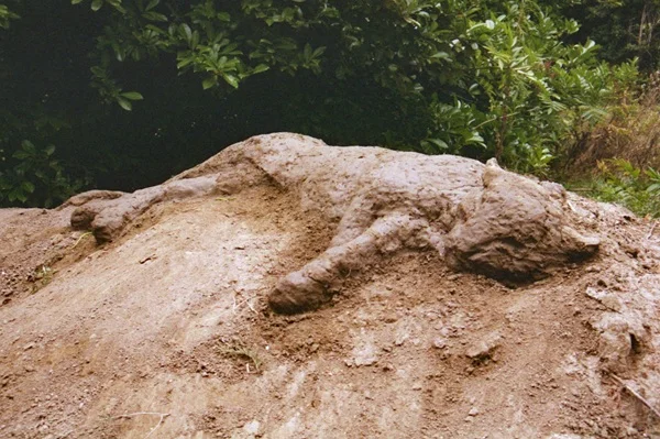 LA PANTHÈRE copie