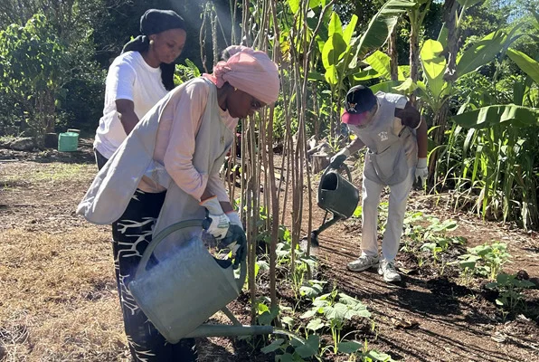 article sante mentale mayotte 1
